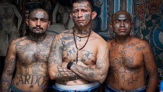 САМАЯ ОПАСНАЯ УЛИЧНАЯ БАНДА: MS 13