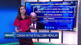 Alert! Virus Corona 10X Lebih Menular