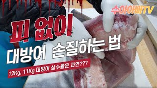 [대방어 손질법] 대방어 12kg,11kg 살 수율은 얼마나 나올까요? 이맇게 피안나오는 장면 보셨나요? How to fillet giant Yellowtail fish