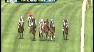 Dare To Dream Stable Horse Racing Partnership - Kingston Terrace Wins!