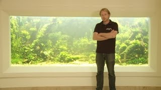 ANIMALISCH die Tiersendung Nr.09  10`000 Liter Aquarium mit Andi Hofstetter