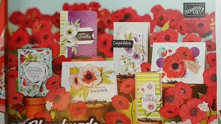 ?LIVE Favourites from the 2020 Mini Catalogue