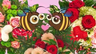 Blumige Grüße zum Valentinstag mit www.florafinesse.de
