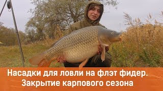 Насадки для ловли на флэт фидер. Закрытие карпового сезона