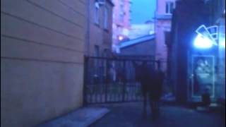 По центру Перми бегал лось
