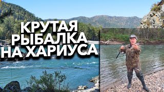 Браконьерские секреты летней рыбалки | Рыбалка на хариуса в Горном Алтае