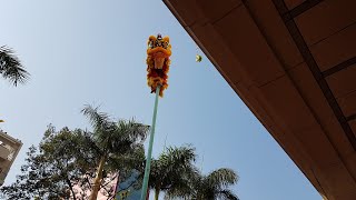 Múa Lân Sư Rồng - Nhơn Nghĩa Đường Lân Leo Cột Tết 2020 | Long Shi | Lion Dance Dragon Dance