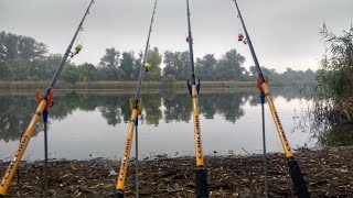 Карп в лесу с берега с ночовкой + костер и шашлык frenzyfisher.