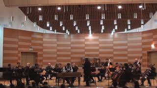 TAMBALUL CAPRICIOS - GIANI LINCAN - CIMBALOM | CHAMBER ORCHESTRA OLTENIA