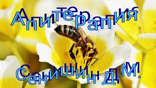 Апитерапия - семинар в Днепре. Сенишин Д.М.