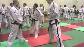 Taekwondix System Seminar part 2