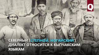 Крымскотатарский язык могут понимать носители всех тюркских языков