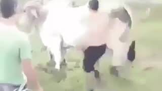 +18 Ən Gülməli videolar zarafatlar - komik videolar şakalar eşek şakası   2018
