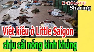 Donate Sharing | Việt kiều ở Little Saigon chịu cái n,ó,ng k,i,nh khủng