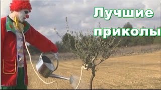 ПРИКОЛЬНОЕ ВИДЕО! ПРИКОЛЫ ДЛЯ ВЗРОСЛЫХ ЛУЧШАЯ РЖАКА  НАРЕЗКА ПРИКОЛОВ