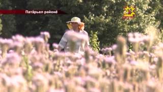 Кашни вĕллерен пĕрер фляг пыл