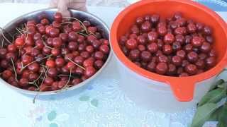 ВИШНЯ и её применение