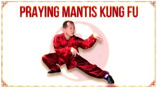 7 Star Praying Mantis Kung Fu Course Online