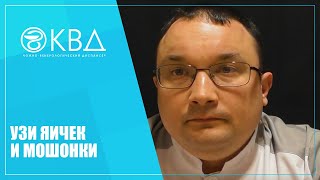 1120  УЗИ яичек и мошонки
