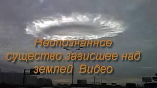 Неопознанное существо,зависшее над землей Видео