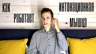 КАК РАБОТАЕТ ИНТОНАЦИОННАЯ МЫШЦА. ЧТО ЭТО ТАКОЕ / ВОКАЛЬНАЯ ШКОЛА-СТУДИЯ "DAR-WIN"