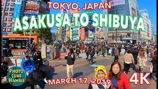 Tokyo Japan Asakusa to Shibuya 3/17/2019