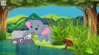 Мультфильмы для детей. Сказка о непослушном Слонёнке, который сначала потерялся, а потом  нашелся .