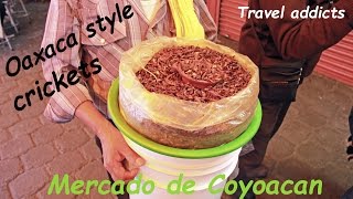 eating crickets in Mexico city April 2017
