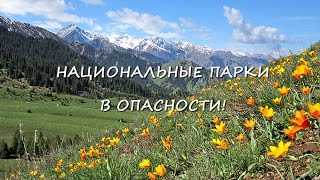 Национальные парки в опасности