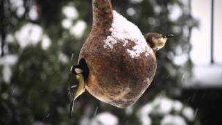 Canon EOS 600D - Test Footage Video #1 (55-250mm lens) 1080p Full HD
