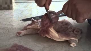 Deboning a whole chicken - Ξεκοκκάλισμα κοτόπουλου