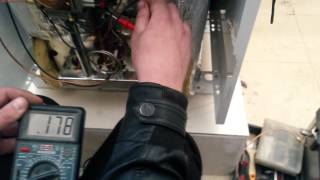 Чистка от сажи и настройка котла Protherm TLO медведь