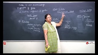 Matter In Our Surrounding: Properties of Gases - Class 9th & NTSE - 01/09