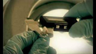 L'expert en odontologie médico-légale