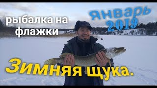 Щука на жерлицы . Зимняя рыбалка . Январь 2019 г.