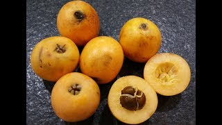 Цены на продукты из Италии.  ШВЕЙЦАРИЯ