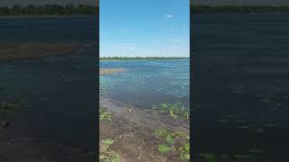 Запорожье ПОСЛЕДСТВИЯ ВЗРЫВА НА КАХОВСКОЙ ГЕС ПРИРОДА ПОГИБАЕТ