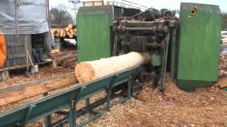 Log debarking machine | Pine wood processing & export sawn timber from Ukraine