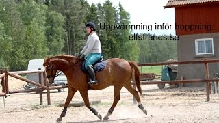 Uppvärmning inför hoppning: elfstrands.se