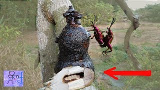 Phát Hiện Bức Tượng Kỳ Bí Bám Trên Cành Cây .Phá Ra Thì Phát Hiện 1 Đường Hầm Bí Ẩn.Catch Grub