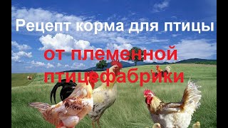 2 СУПЕР рецепта корма для бройлеров, уток и другой птицы от племенной птицефабрики