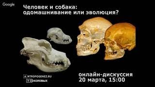 Человек и собака: одомашнивание или эволюция (2017)
