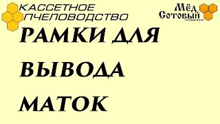 маток вывожу этими мисочками