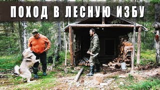 Поход в лес. ? Лесная изба. ?Таёжный быт.?