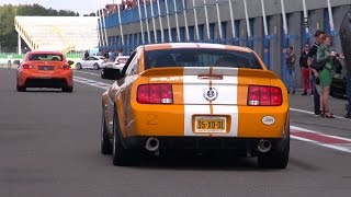Modified Ford Shelby Mustang GT500 SVR - INSANE SOUND!