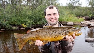 Озёрная кумжа и волшебный ручей. Рыбалка на Кольском Часть 2