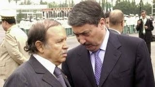 Meilleure chanson politique en Algérie