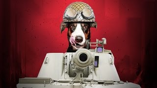 Top 10 Dumbest Weapons Ever Created