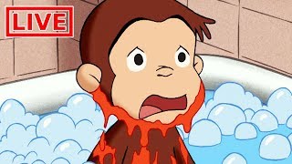 Jorge el Curioso LIVE ? | EN VIVO |  ¿Qué hay en mi cara? | Dibujos Animados | Caricaturas