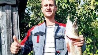 Столько щуки я еще не видел!!!Рыбалка 2019 Рыбалка на спиннинг Рыбалка на щуку Окунь на спиннинг
